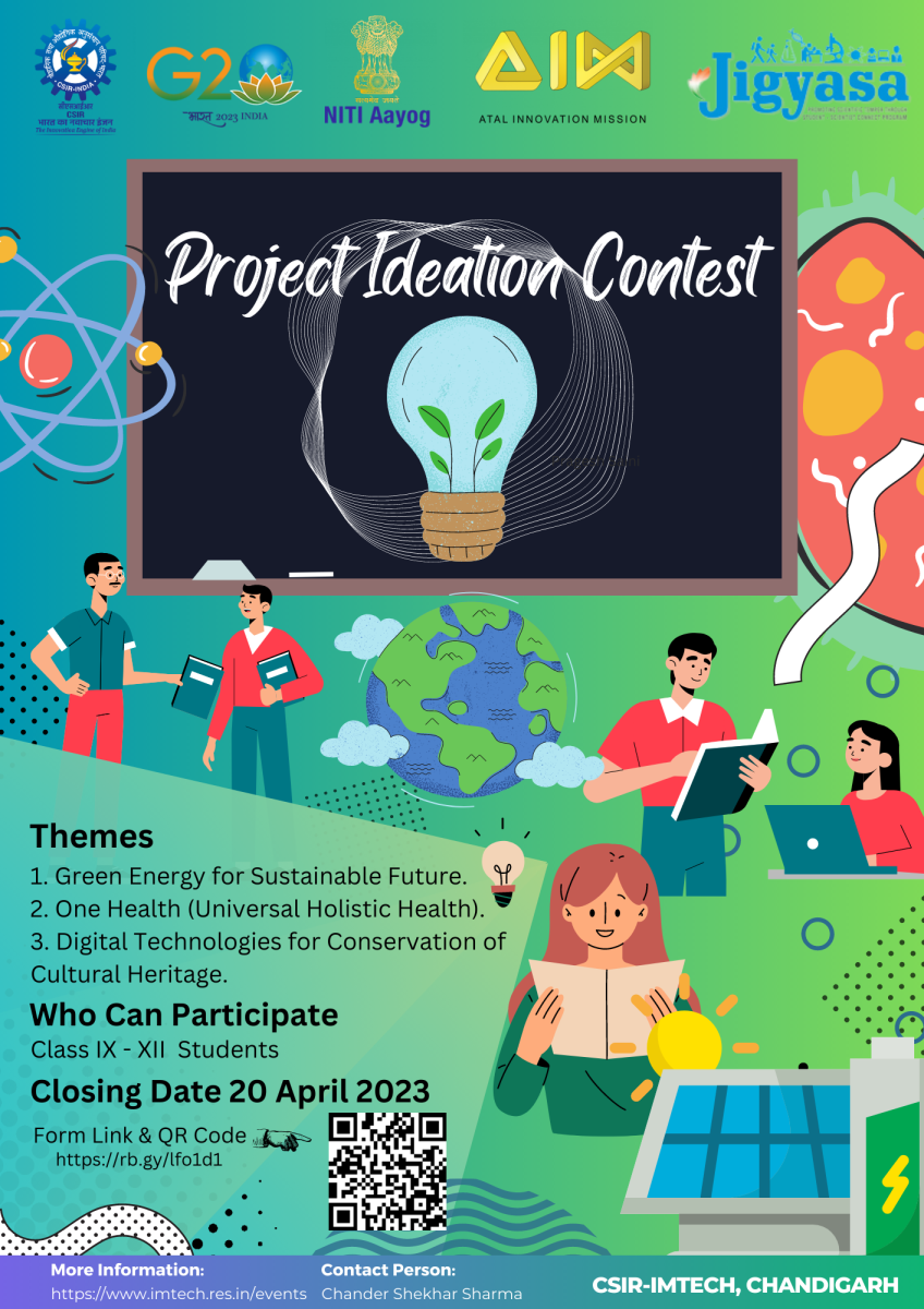 About the Contest